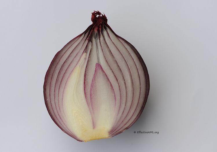 Onion linkek